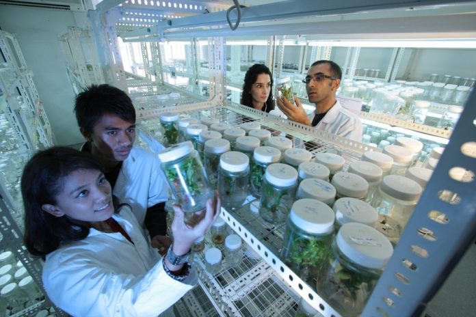 Bengaluru emerges as India's biotech startup capital Study